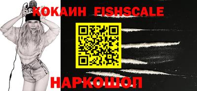 гидра Гусев