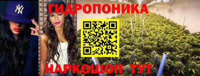 apvp Гусь-Хрустальный