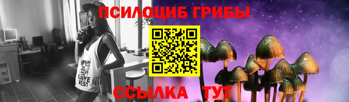 Галлюциногенные грибы Cubensis Нерюнгри